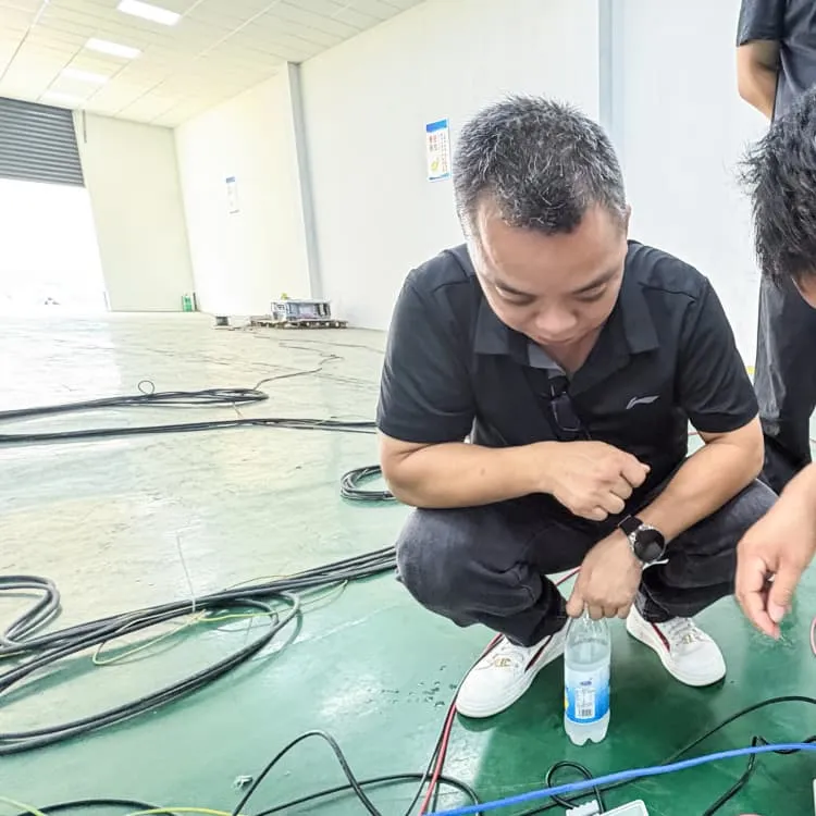 Export of lithium iron phosphate batteries and photovoltaic modules